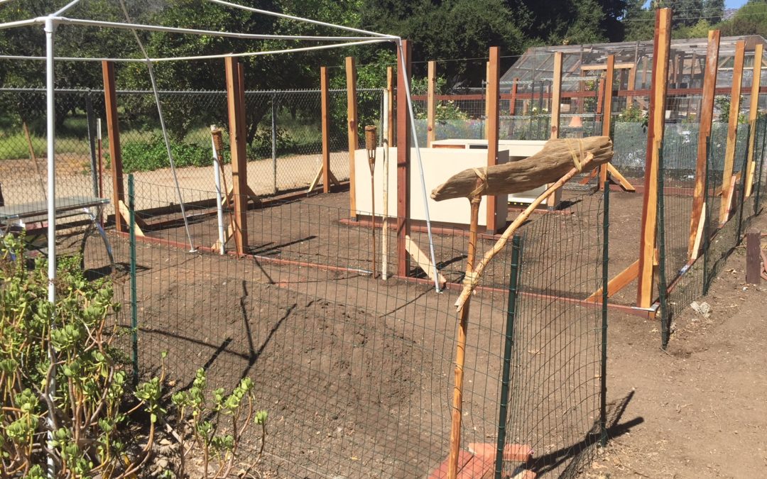 Shade House Construction