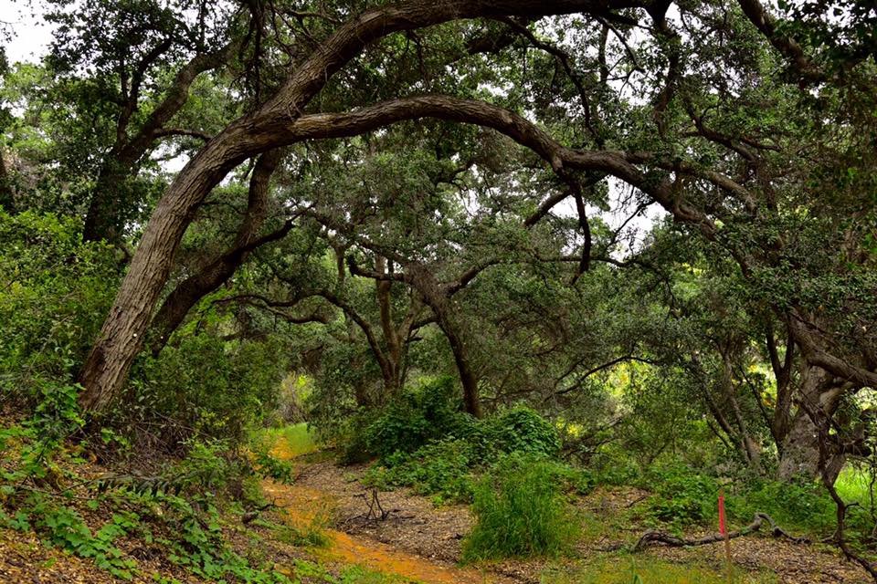 Sky Valley Volunteer’s Potting Party